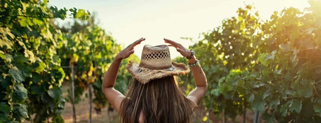 Half-day brewery and winery tour in Halkidiki