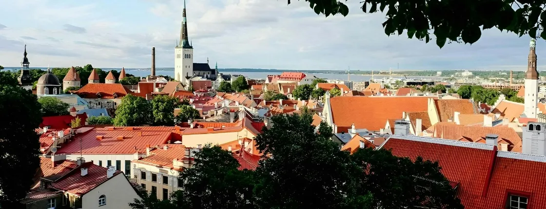 Navigate Tallinn's Insta-perfect spots with a local