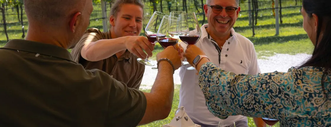 From Venice, Wine Tour in the Euganean Hills