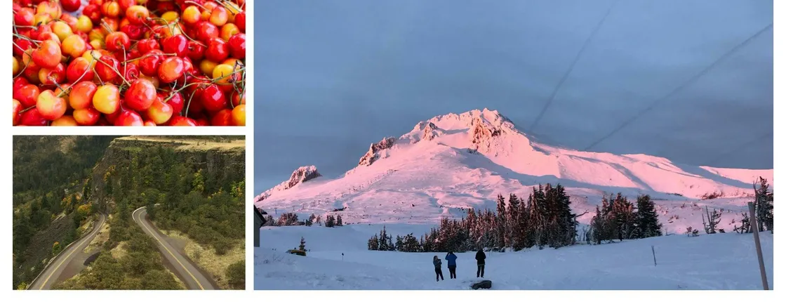 Mt. Hood Loop and Multnomah Falls tour