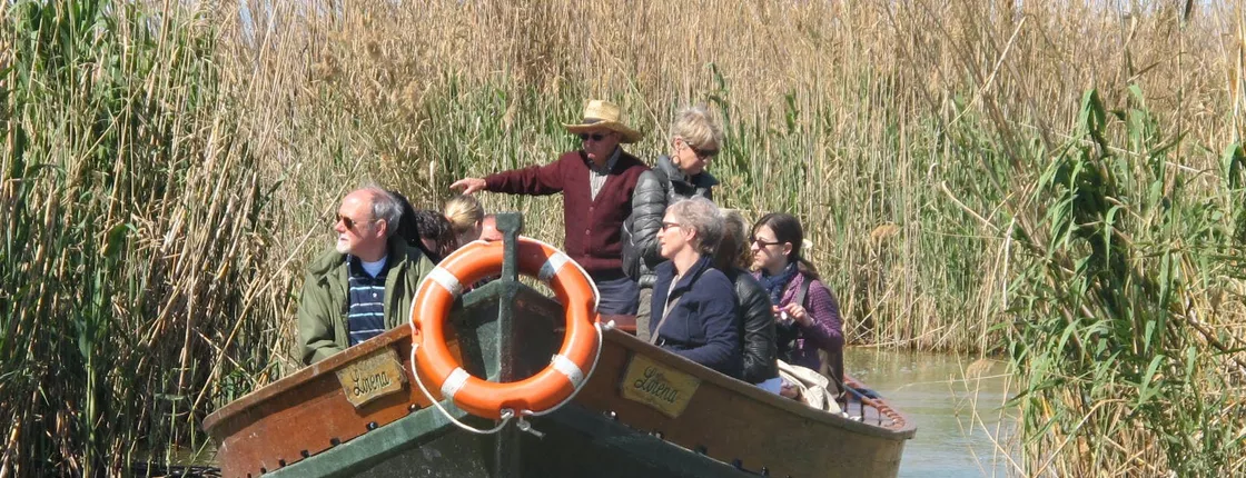 48-Hour Hop-On Hop-Off Bus Pass + Albufera Tour with Boat Ride