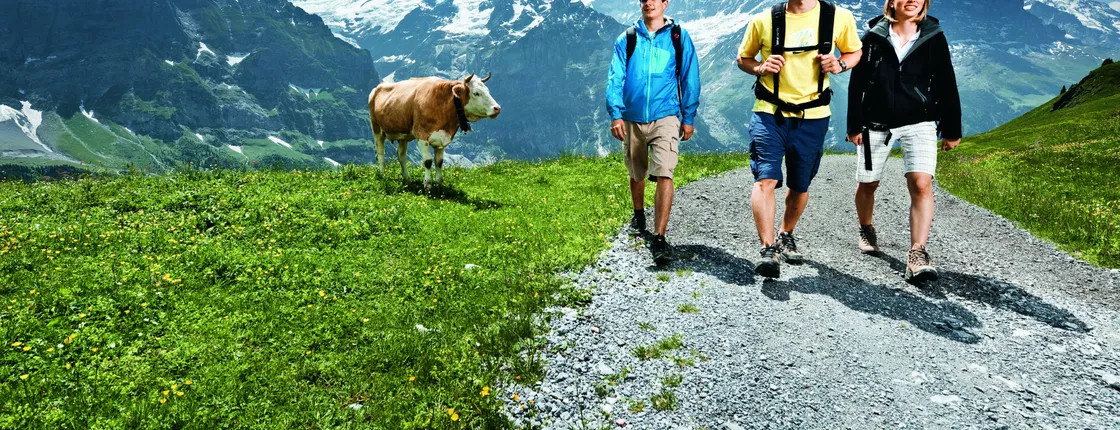 Grindelwald, Interlaken, and Lauterbrunnen day trip from Lucerne