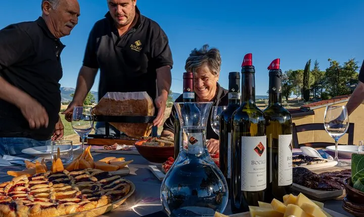 Winery Tour and Private Tasting in Montefalco