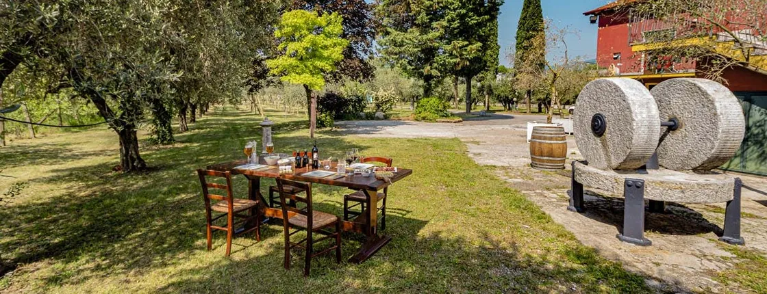 Light lunch with olive oil tasting at an oil mill by Lake Garda