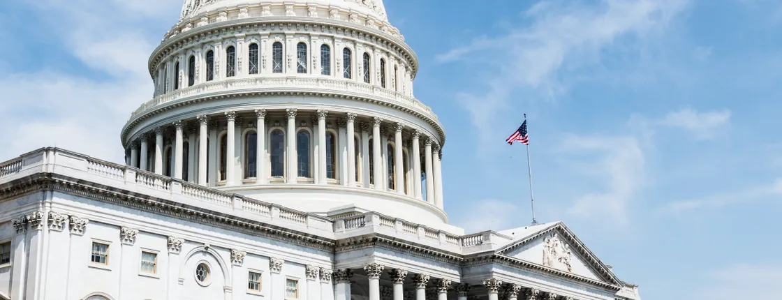 Semi-private tour of Capitol Hill Walking