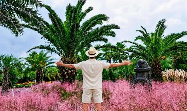 Jeju: UNESCO-Listed Southern Authentic Day Tour