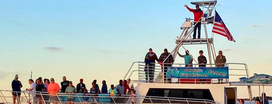Frisky Mermaid dolphin tour at Pensacola Beach