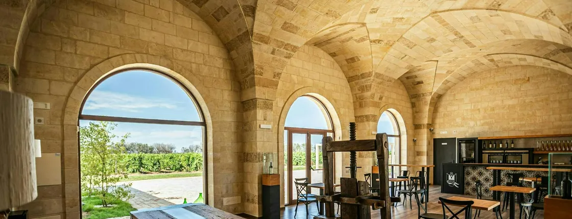 Guided tour and tasting of four wines at Masseria Torleanzi