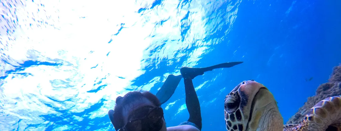 Half-day afternoon boat trip with lunch and drinks in Hurghada