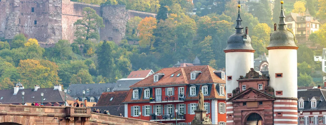 Heidelberg private walking tour with castle visit