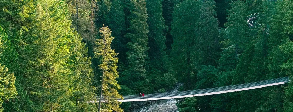 Capilano Suspension Bridge Park tickets