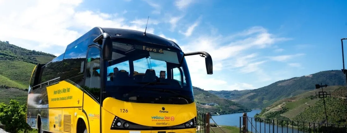 Vineyard with Wine Tasting, River Cruise and Lunch in the Douro Valley