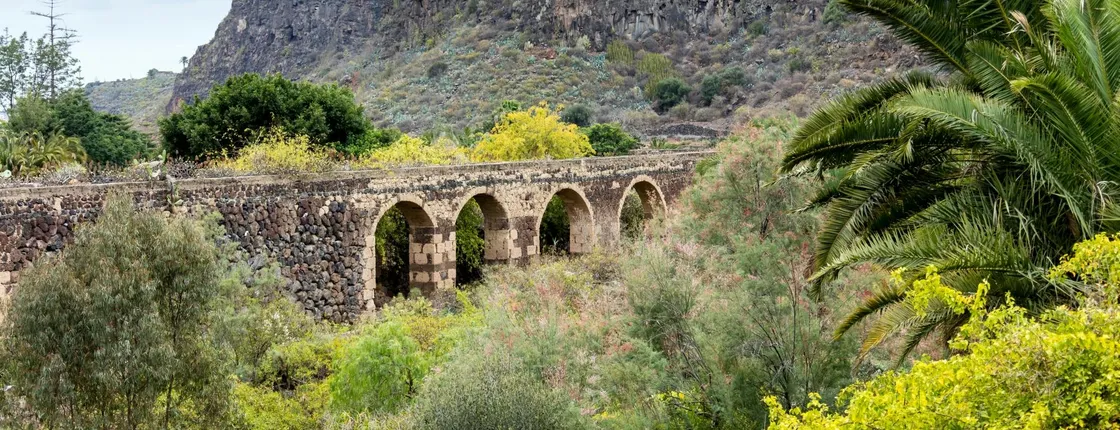 Sites & Bites: Gran Canaria botanical garden and fresh fruits