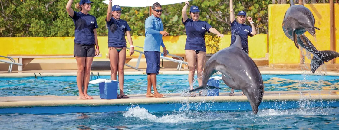 Marine Mammal Trainer for a day in Puerto Vallarta