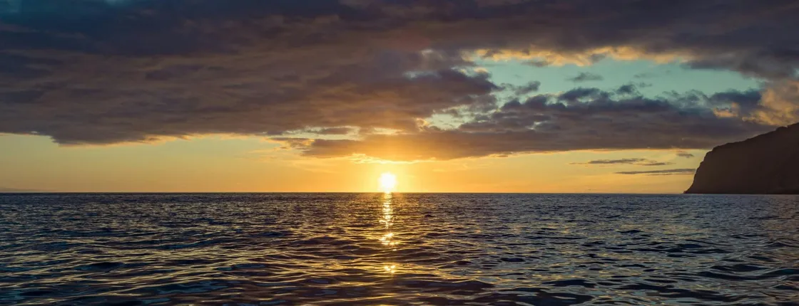 Seaborn Catamaran Sunset Trip