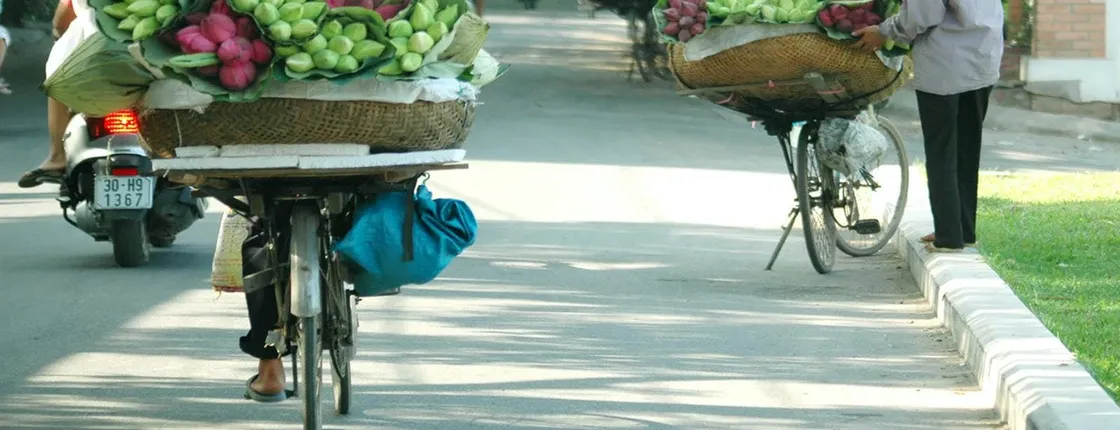 Hanoi highlights full-day tour with cyclo ride and water puppet show