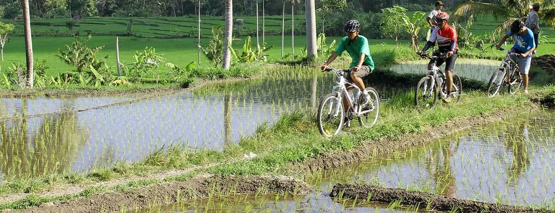 Eastern Bali Classic 4x4 Safari with Cycling Tour