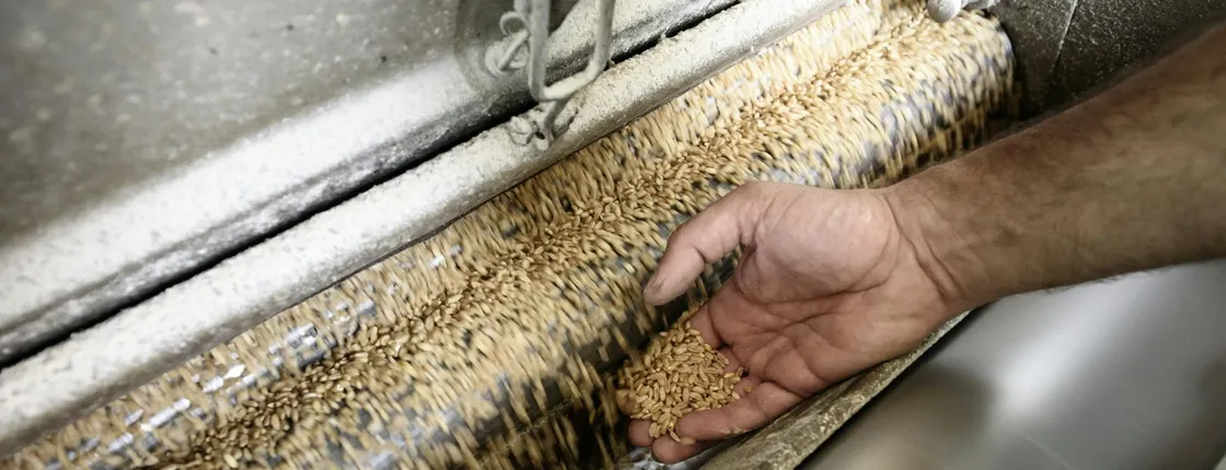 Caltagirone's Historic Mill Guided Tour and Optional Tasting