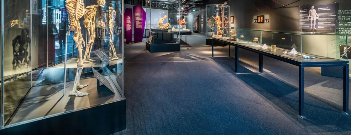BODY WORLDS Berlin entrance tickets