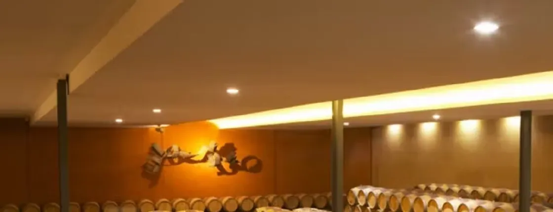 Blind vertical tour and tasting at Château Paloumey