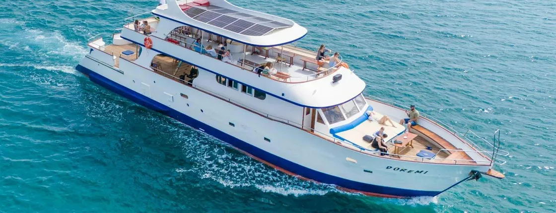 Fun fishing and relaxing cruise