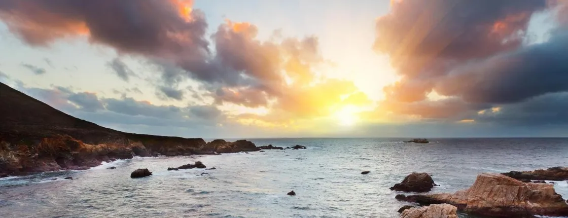 Monterey, Carmel and The 17-Mile Drive tour