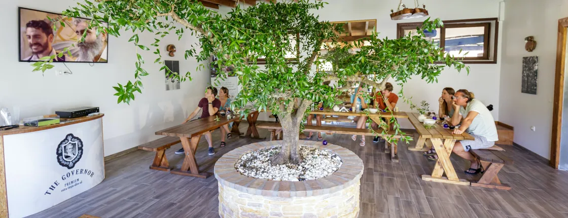 Private VIP Corfu Olive Mill Tour