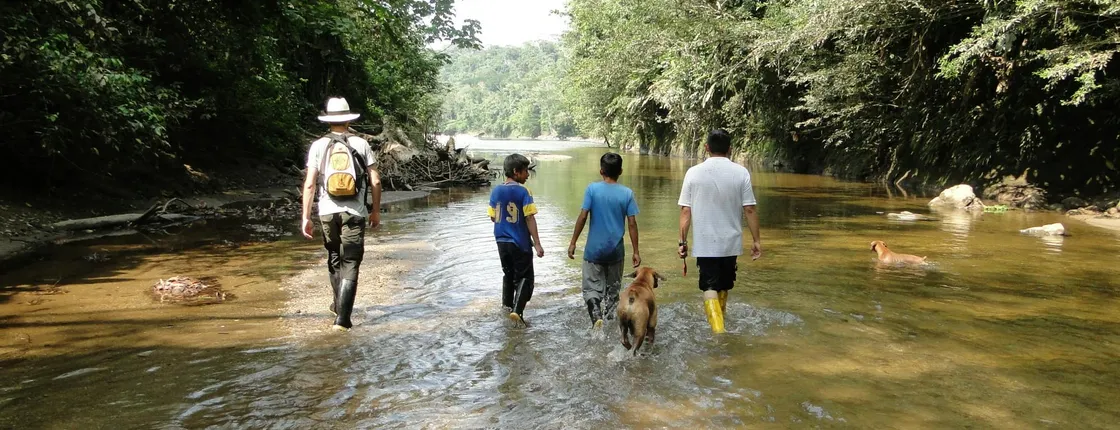 Napo Province primary rainforest guided tour with a local