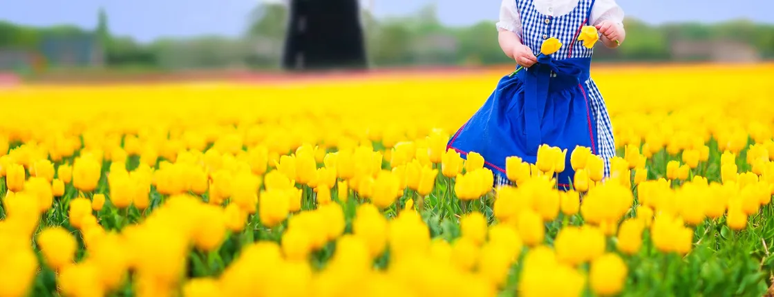 Shared tour of Delft and the Keukenhof Estate from Brussels