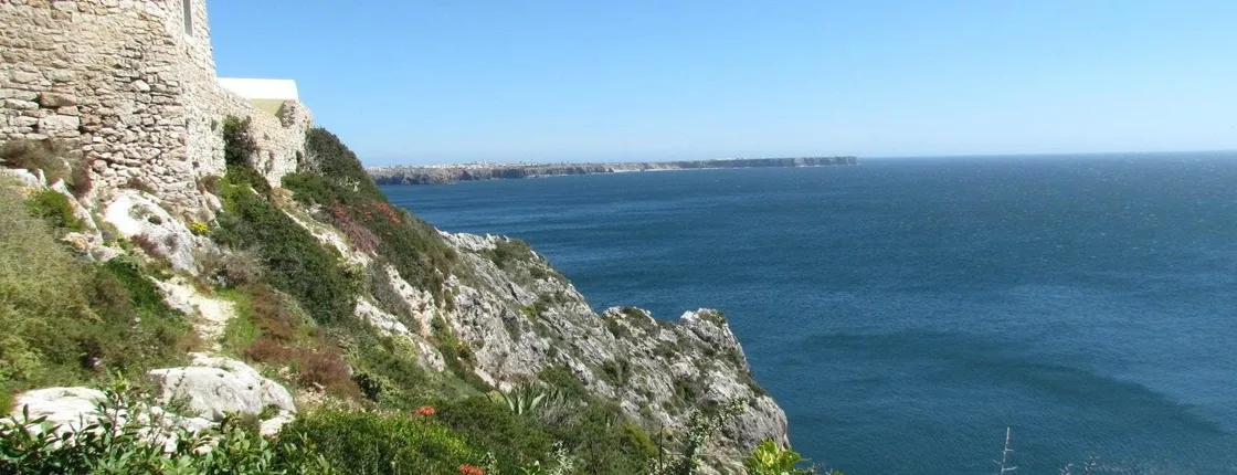 Sagres full-day birdwatching tour