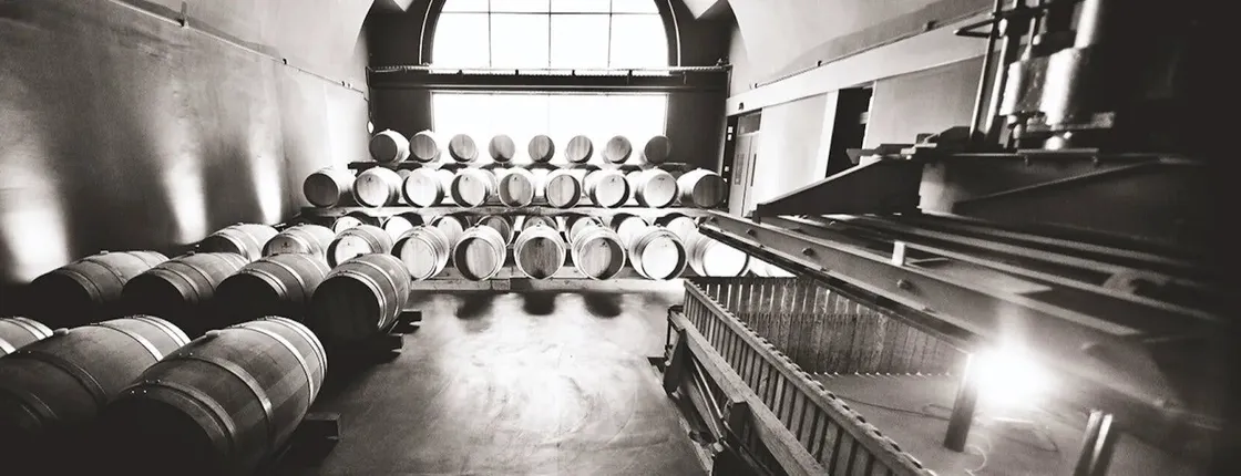 Historical and artistic visit of the cellars of the Canard Duchêne House