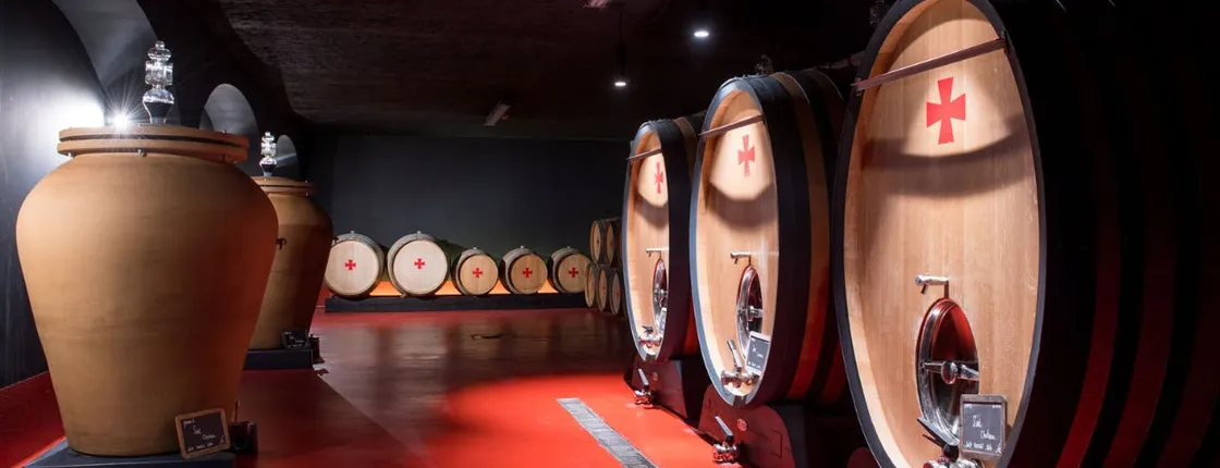 Guided tour of the cellars of Château Peyrassol in English