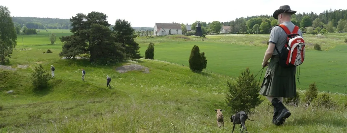 Guided nature tour with a Swedish picnic