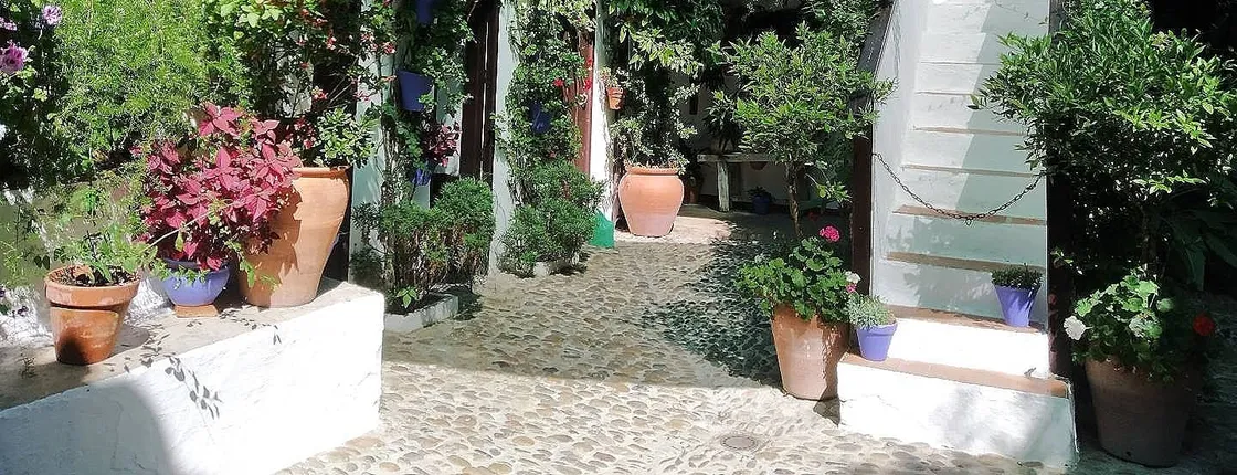 Courtyards of Córdoba guided walking tour