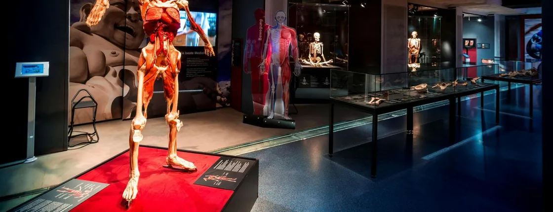 BODY WORLDS Heidelberg entrance tickets
