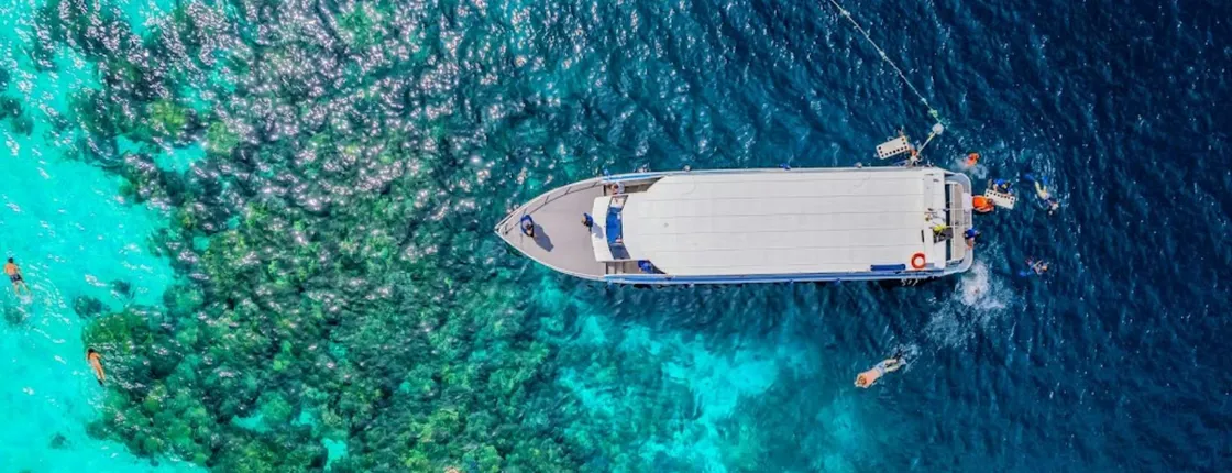 Surin Islands 3-reef snorkel masterpiece from Khao Lak