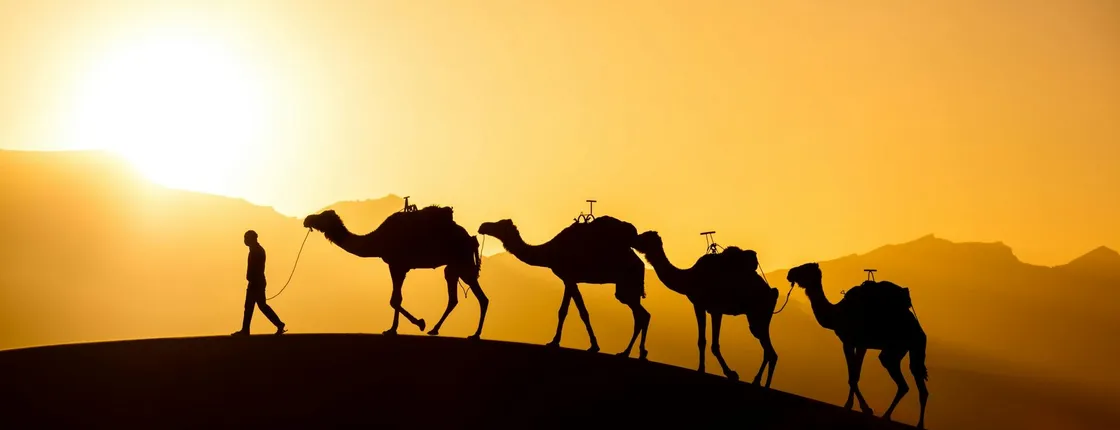 2-day excursion from Agadir to Zagora Sahara Desert