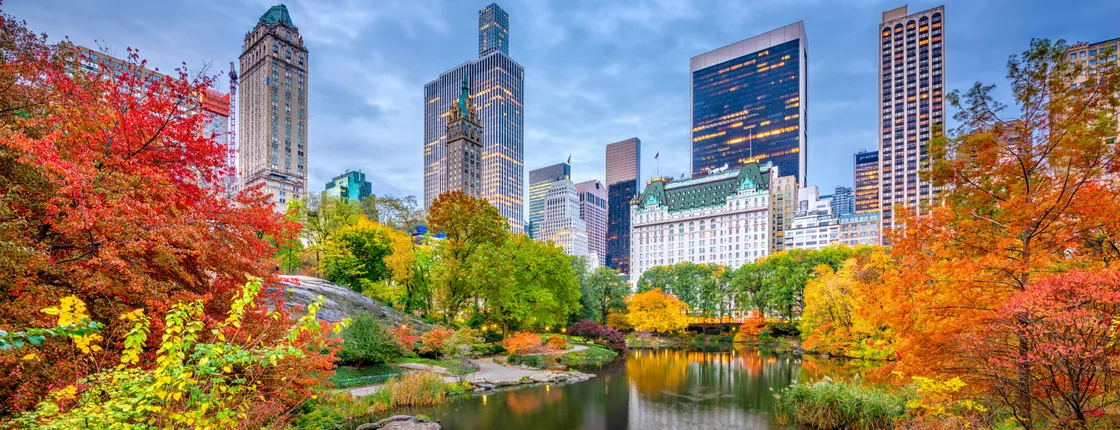 Private and Semi-Private Central Park walking tour