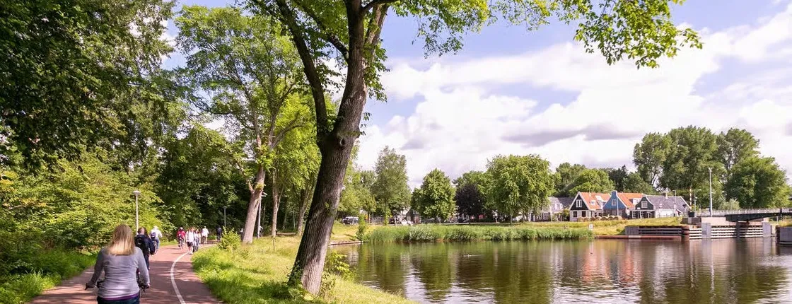 Windmill and Dutch cheese farm electric bike tour in Amsterdam