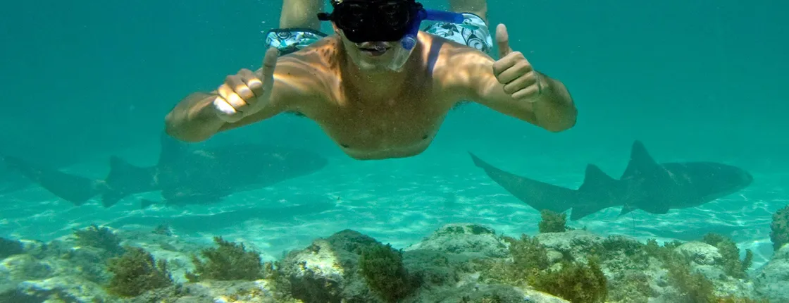 Cabeza de Toro Reserve Glass-Bottom Catamaran Cruise