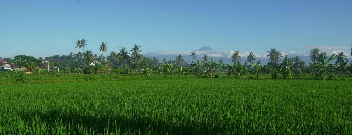 Rural villages and sacred caves cycling adventure in Lombok with lunch