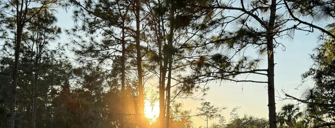50-minute horseback trail ride in Central Florida