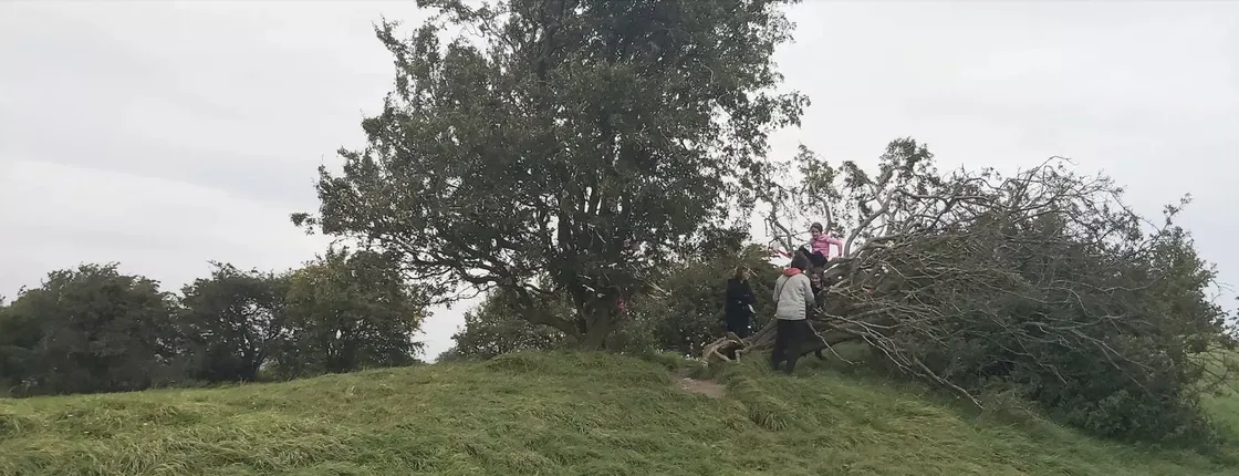Self-guided audio walk at the mystical Hill of Tara