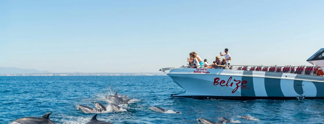 Benagil Cave and dolphin-spotting cruise ticket from Vilamoura