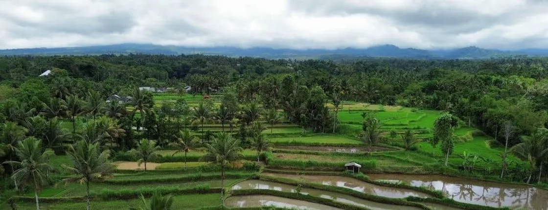 Tetebatu Rice Terrace and Benang Stokel Waterfall Guided Tour