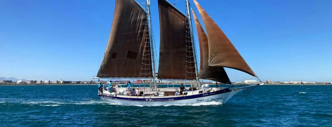 1-hour cruise and lunch experience at Spyced Restaurant in Cape Town