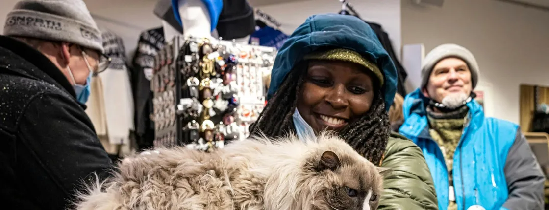 Reykjavik private walking tour for cat lovers