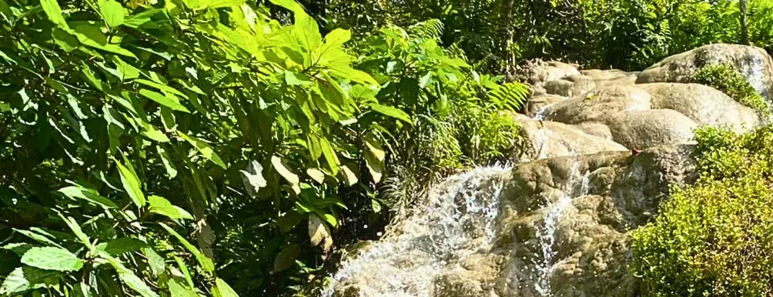 Half-day private van charter with driver to Bua Thong Waterfall