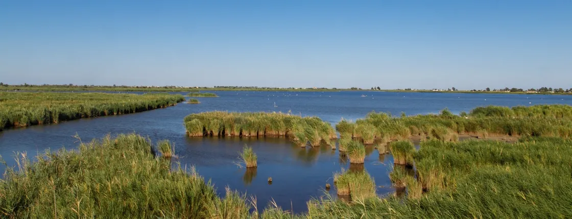 River cruise through the Ebro Delta river