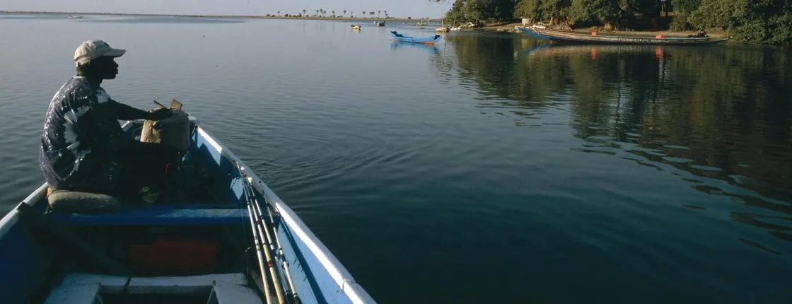 Bush and Saloum Delta guided tour from Somone with boat trip and lunch